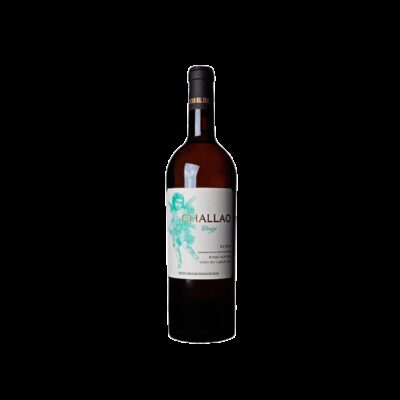 Dominio del Challao Blanco 2021