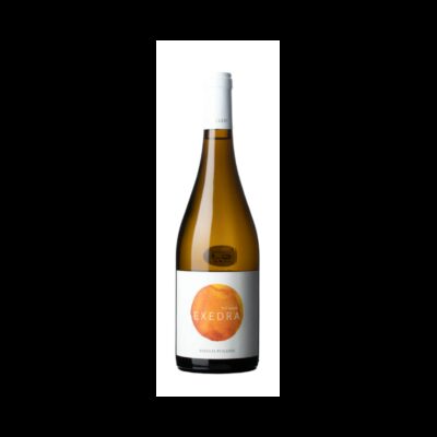 Exedra Amphora Blanc 2024