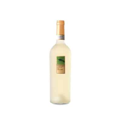 Feudi San Gregorio Campanaro Riserva 2023