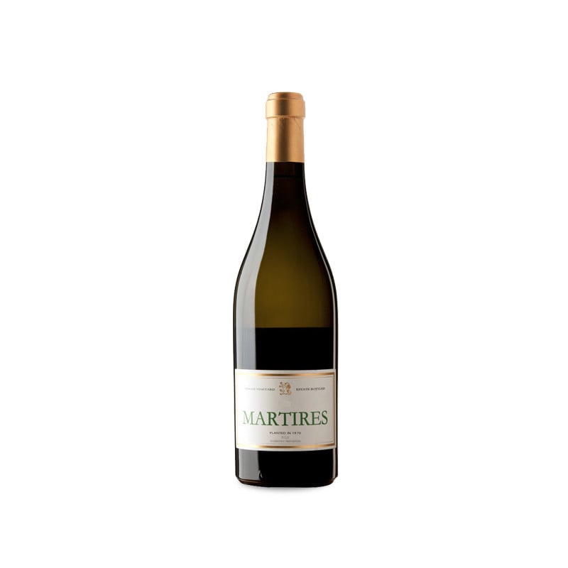 Finca Allende Mártires 2023