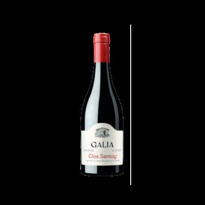 Galia Clos Santuy 2023