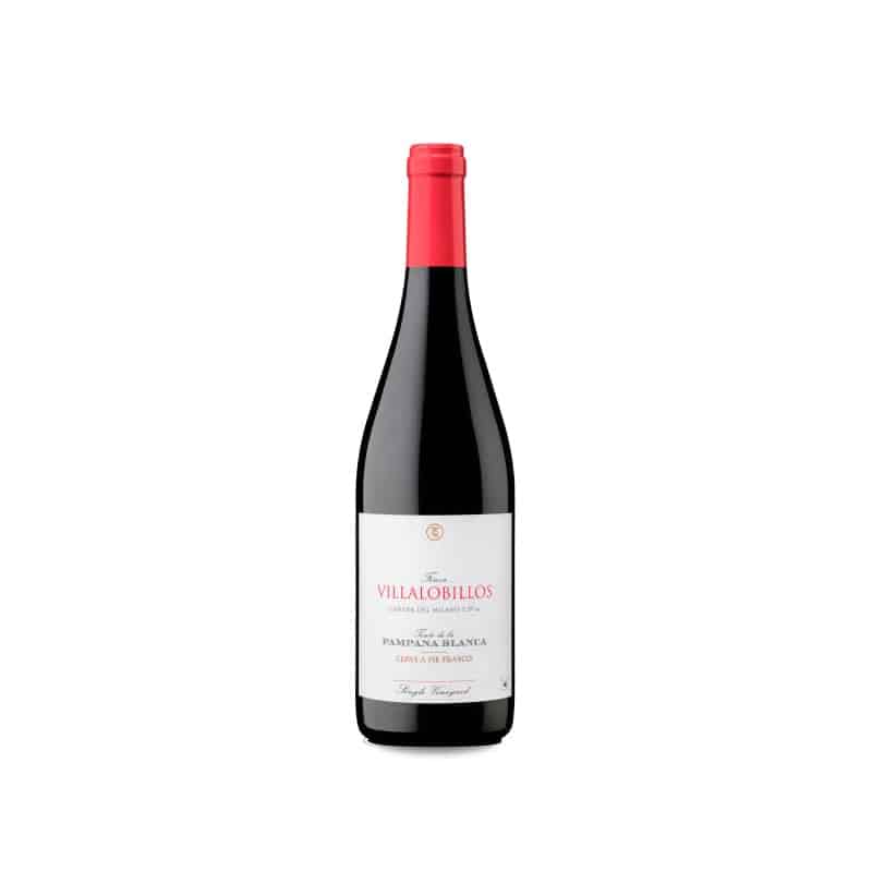 García de Lara Finca Villalobillos Tinto de la Pámpana Blanca 2022