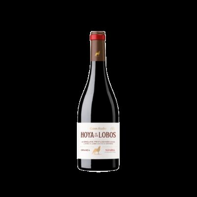 Gran Feudo Hoya de Los Lobos Crianza 2021