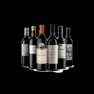 Großartige Ribera del Duero Weine
