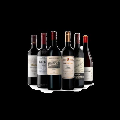 Großartige Rioja Weine