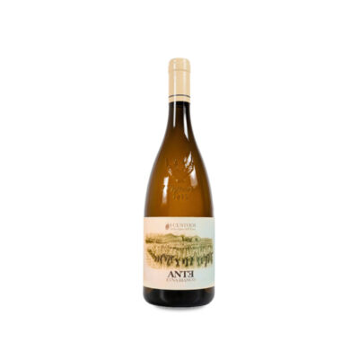 I Custodi delle Vigne dell'Etna Ante 2022
