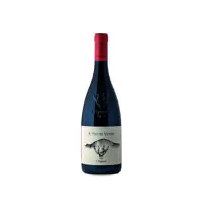 I Vigneri di Salvo Foti Il Vino dei Vigneri 2025