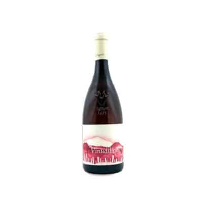 I Vigneri di Salvo Foti Vinudilice 2024
