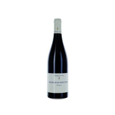 Jérôme Galeyrand Bourgogne Antonin 2023
