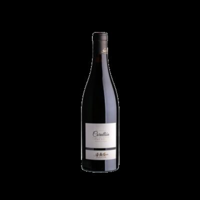 José Antonio García Viticultor Corullón Vino de Villa 2022
