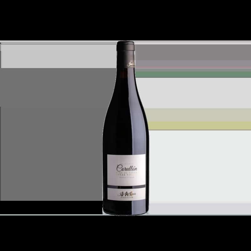 José Antonio García Viticultor Corullón Vino de Villa 2022