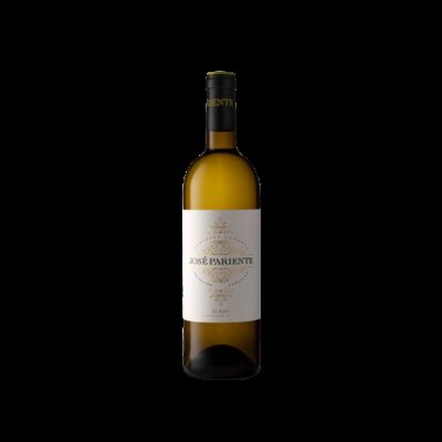 José Pariente Verdejo 2025