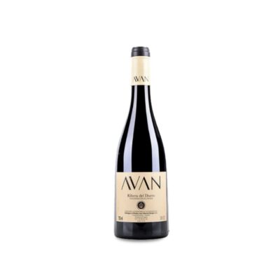 Juan Manuel Burgos Avan Tinto 2024