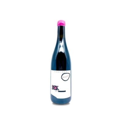 Judith Beck Bambule! Pinot Noir 2022