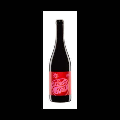 Judith Beck Cherry Bomb 2024