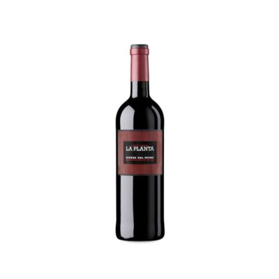 La Planta Magnum 2024