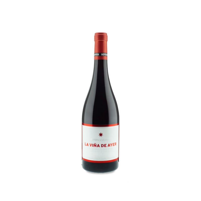 La Viña de Ayer Garnacha 2023