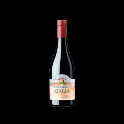 Las Aldeas Galia 2024