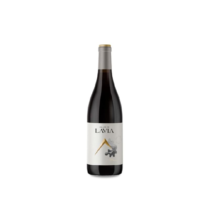 Lavia Valles de Lavia Valle del Aceniche 2022