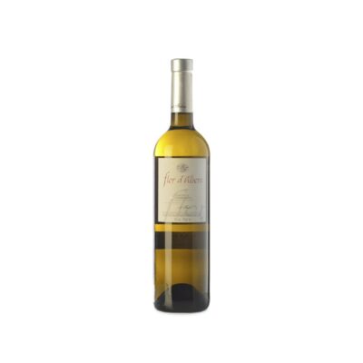Martí Fabra Flor D'Albera 2025