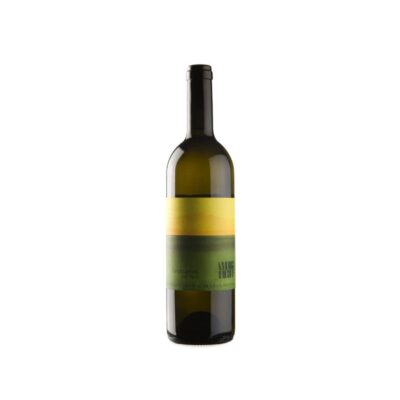Muster Sauvignon vom Opok 2023