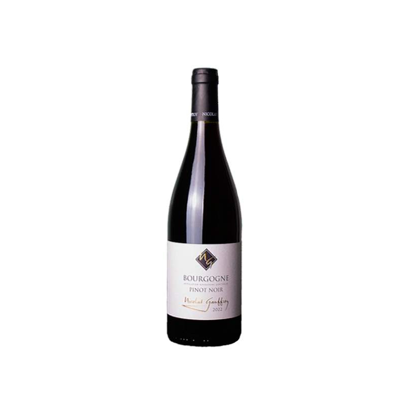 Nicolas Gauffroy Bourgogne Pinot Noir 2023