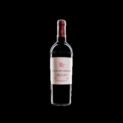 Pago de los Capellanes Crianza 5 Liters 2023