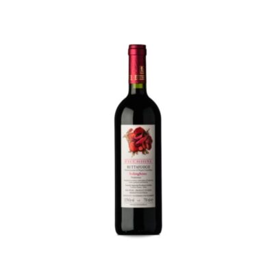 Picchioni Buttafuoco Solinghino 2024