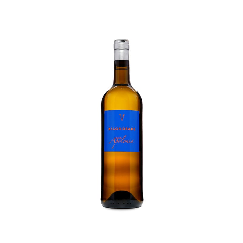 Quinta Apolonia 2025