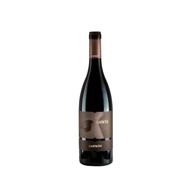 Santa Castaño 2020