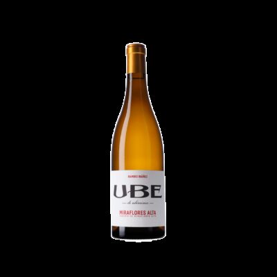 UBE Caserío de Miraflores Alta 2024