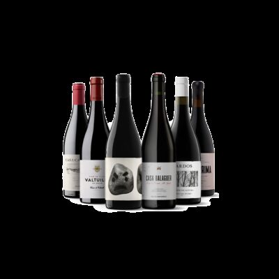 Wichtige spanische Weine II