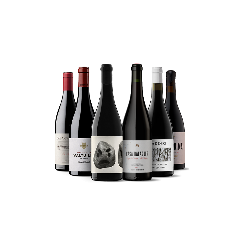 Wichtige spanische Weine II