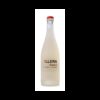 Yllera 5.5 Verdejo Frizzante