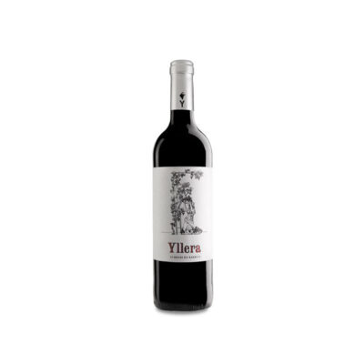 Yllera Crianza 12 meses 2021