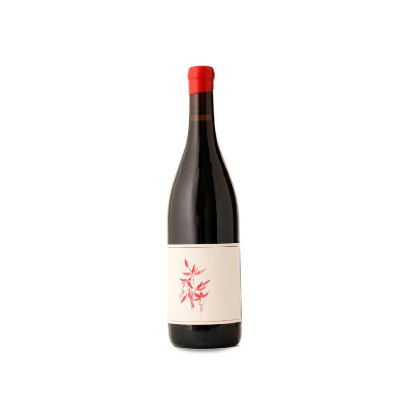 Arnot-Roberts Heaven and Earth Pinot Noir 2024