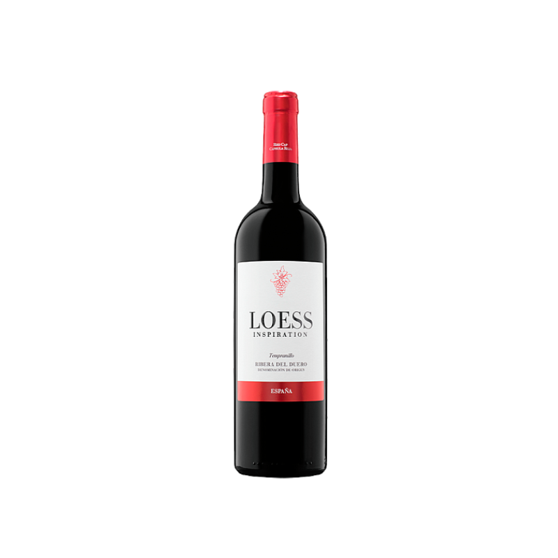 Loess Inspiration 2024