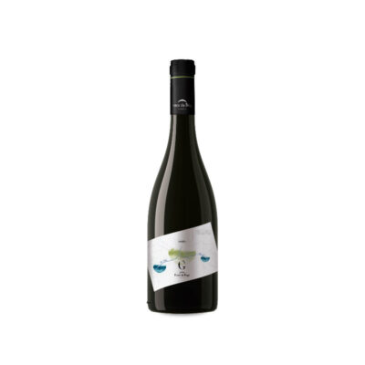 Ponte da Boga Godello 2024