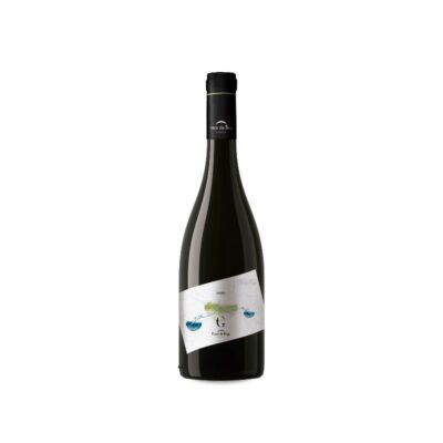 Ponte da Boga Godello 2025
