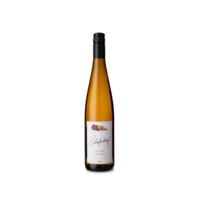 Schieferkopf Riesling Baden 2025