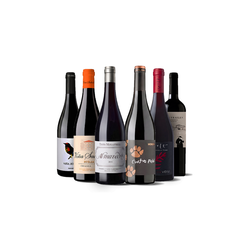 Wichtige spanische Weine I