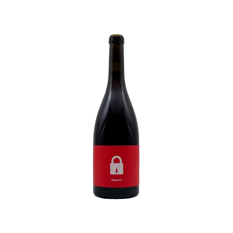 Bodega Clandestina Imputat Clandesti 2024