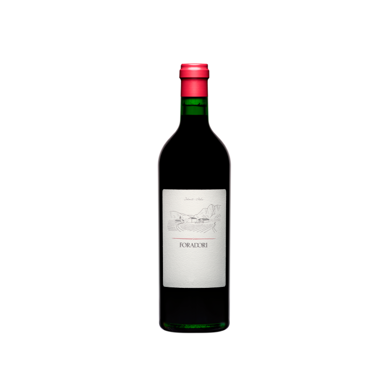 Foradori Teroldego 2021