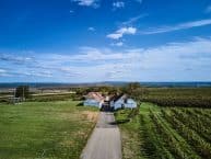 Weingut Schüller – Wein aus Pillersdorf – Österreich