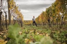 Familienweingut Bernd Nittnaus – Gols – Wein aus Österreich