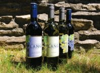 Weingut Biohof Lang – Bio Weine aus Österreich