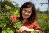 Biodynamisches Weingut Birgit Braunstein – Purbach am Neusiedlersee