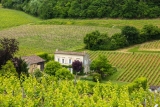 Bordeaux-Weine: Ratgeber zu Rotwein, hellem Bordeaux & Kauf-Tipps