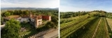 Castello di Buttrio – Friuli Venezia Giulia – Weine aus Italien