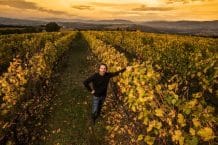 Weingut Castello di Gabbiano – Dal 1124 – Weine aus Italien